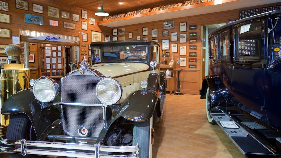 Vintage Packard automobiles displayed at Fort Lauderdale Antique Car Museum.