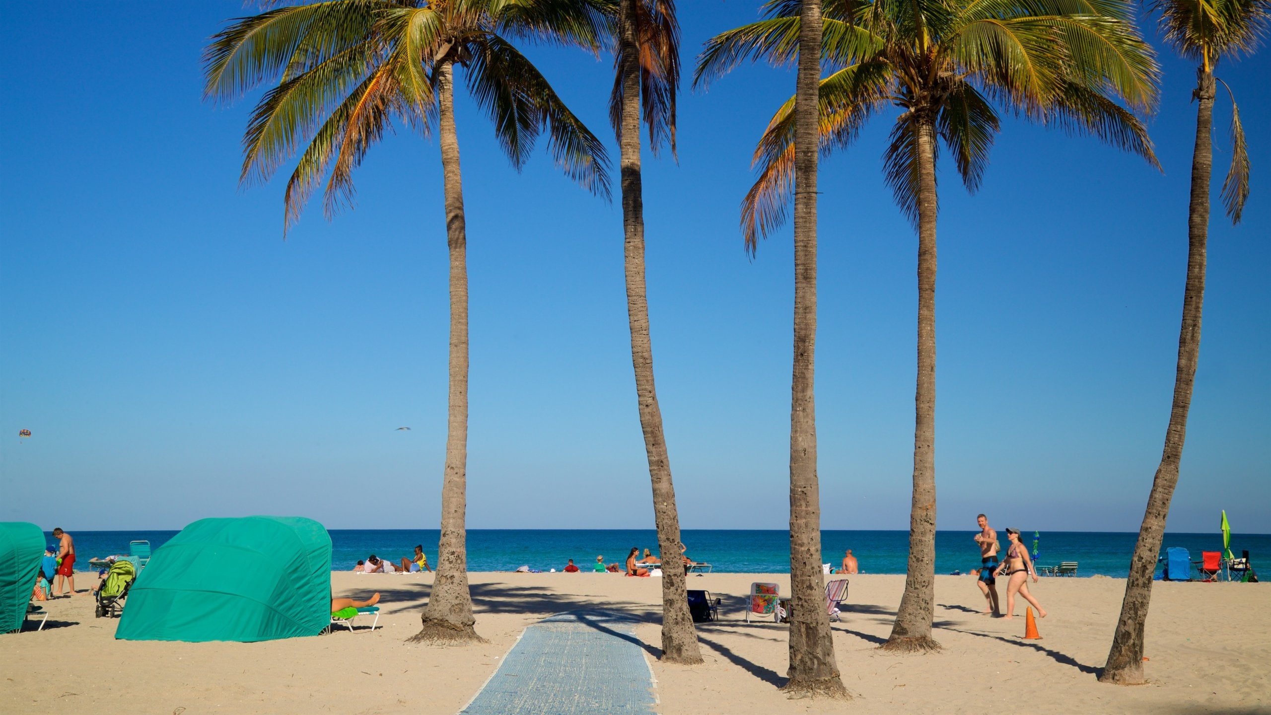 Hollywood Beach in Hollywood Beach Tours and Activities Expedia.ca