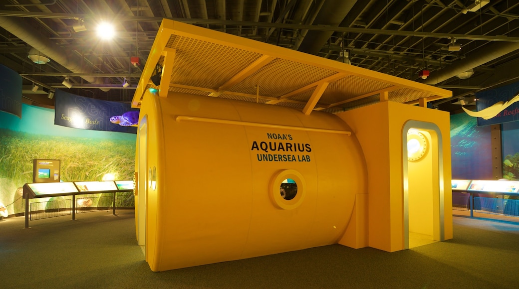 Florida Keys Eco - Discovery Center