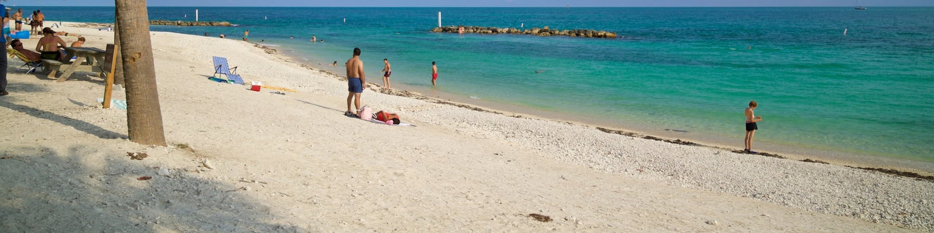 Fort Zachary Taylor Historic State Park featuring a beach and general coastal views