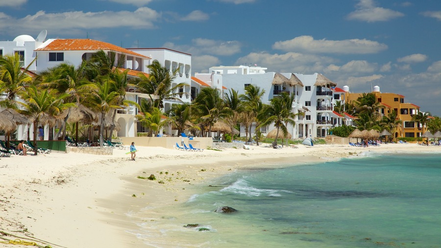 Half Moon Bay which includes a coastal town, tropical scenes and a beach