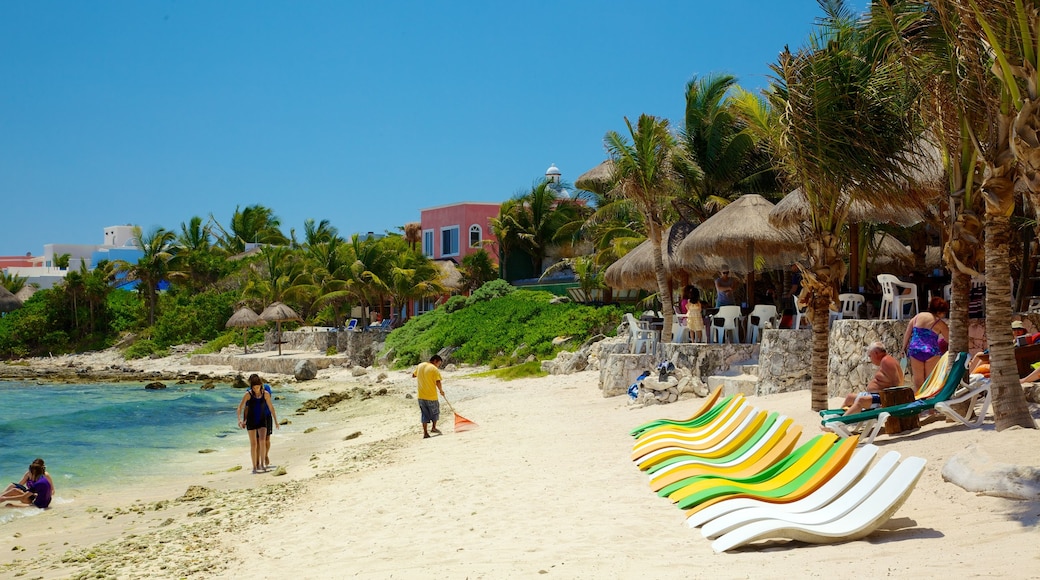 Bahía de la Media Luna ofreciendo escenas tropicales, una ciudad costera y una playa de arena