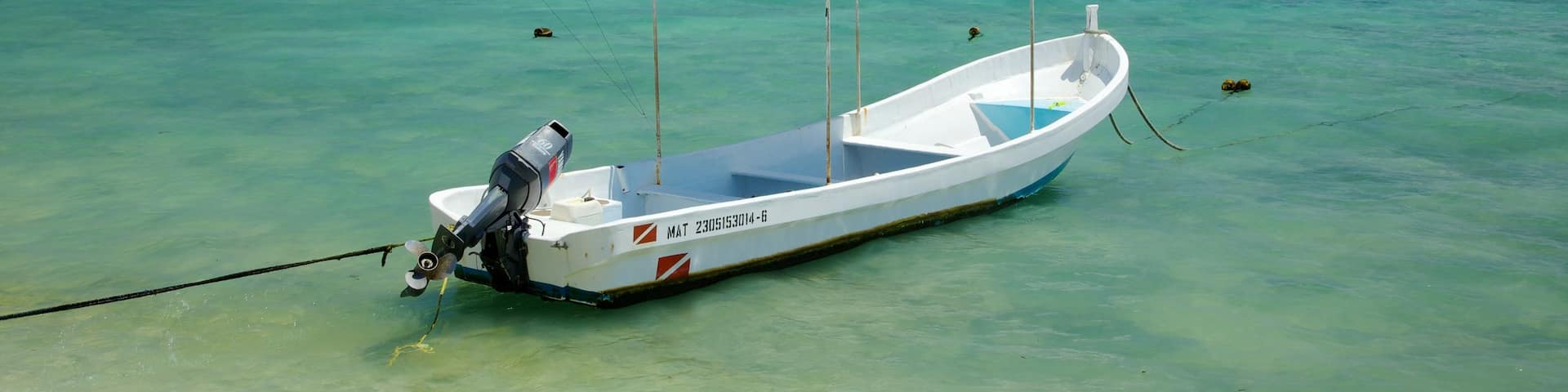 Half Moon Bay showing a bay or harbour and boating