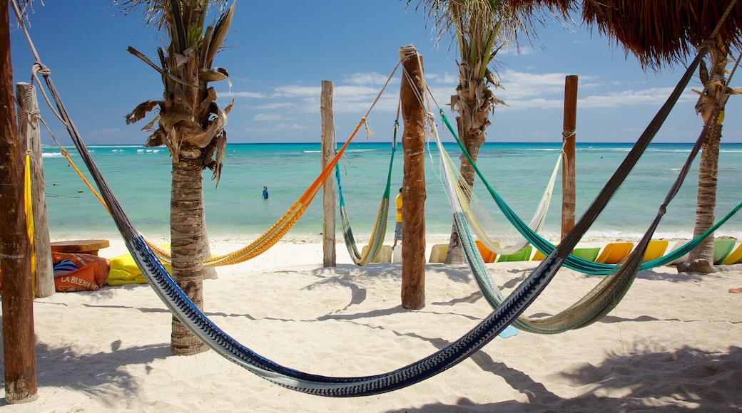 Bahía de la Media Luna que incluye una playa y escenas tropicales