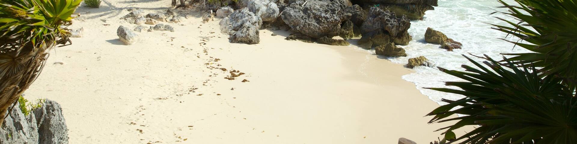 Tulum Mayan Ruins showing a beach, general coastal views and tropical scenes