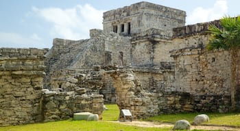 Maya-Ruinen von Tulum mit einem Gebäuderuinen