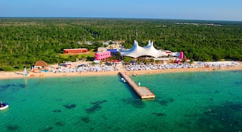 Cozumel bevat tropische uitzichten en een strand