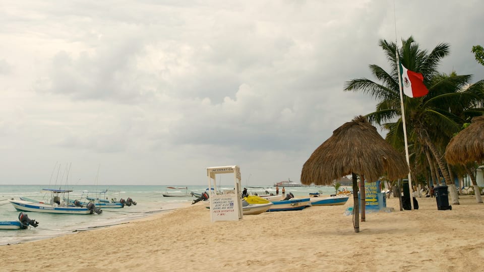 Playa del Carmen which includes tropical scenes, boating and a sandy beach