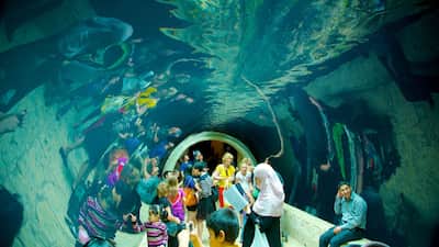 Visit Legacy Park: 2022 Legacy Park, Dallas Travel Guide ...