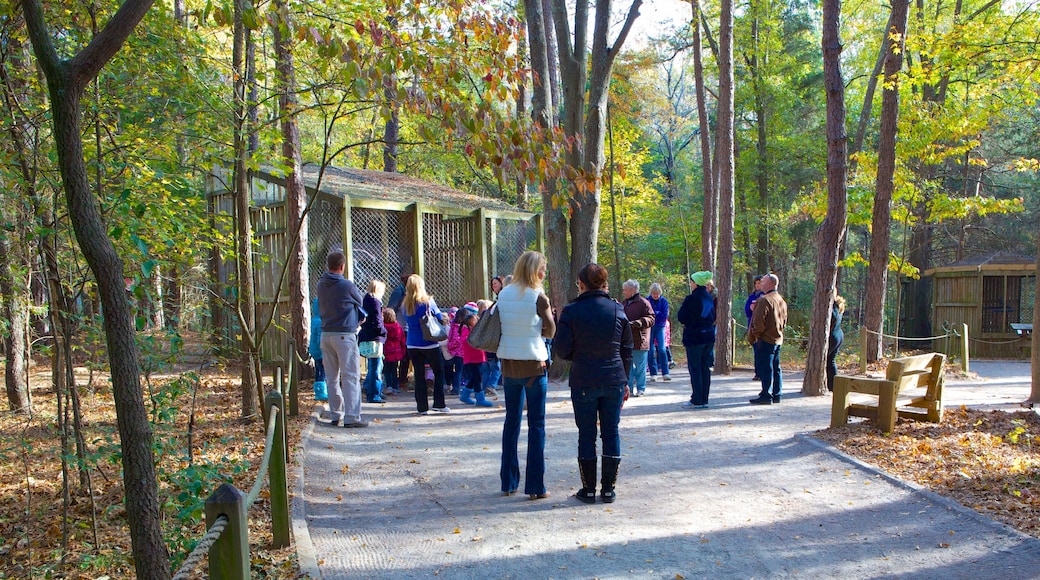 Daniel Stowe Botanical Garden showing a park as well as a large group of people