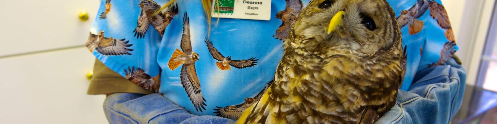 Daniel Stowe Botanical Garden showing zoo animals, bird life and interior views