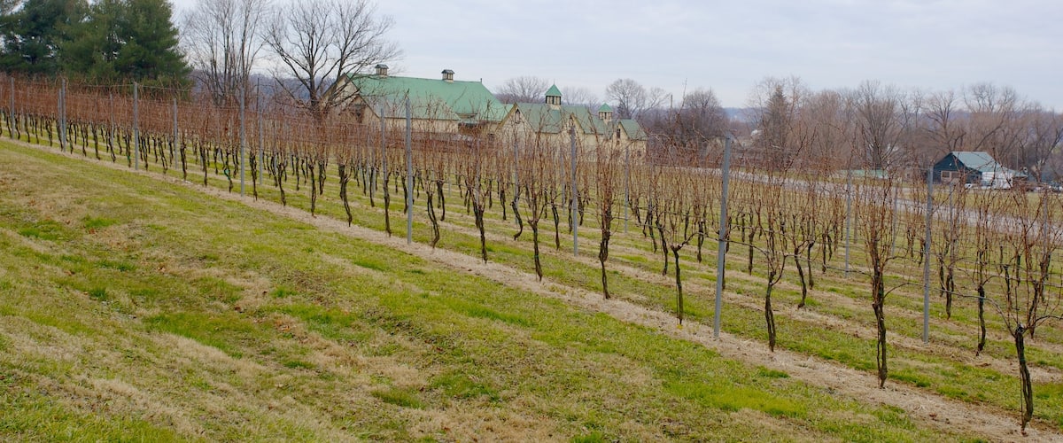 Boordy Vineyards showing landscape views and farmland