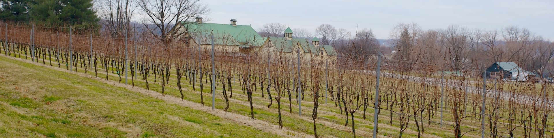 Boordy Vineyards which includes farmland and landscape views