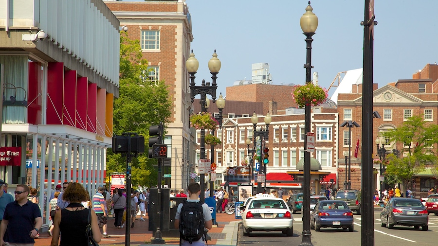 Cambridge showing a city and street scenes