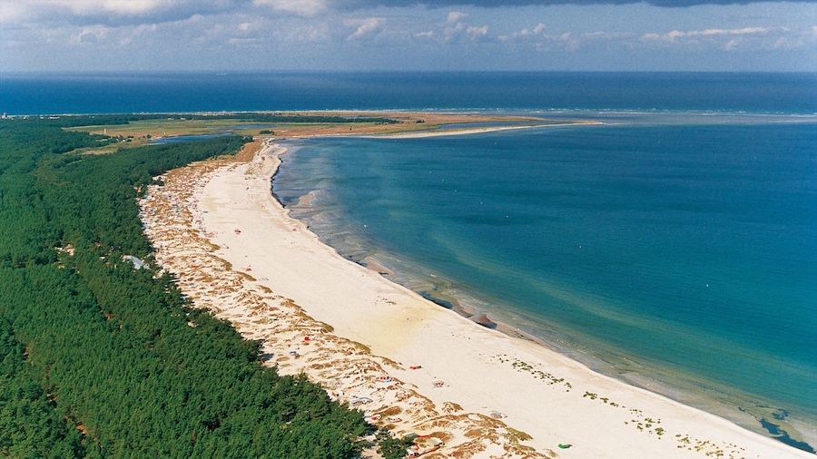 Zingst showing landscape views and a beach