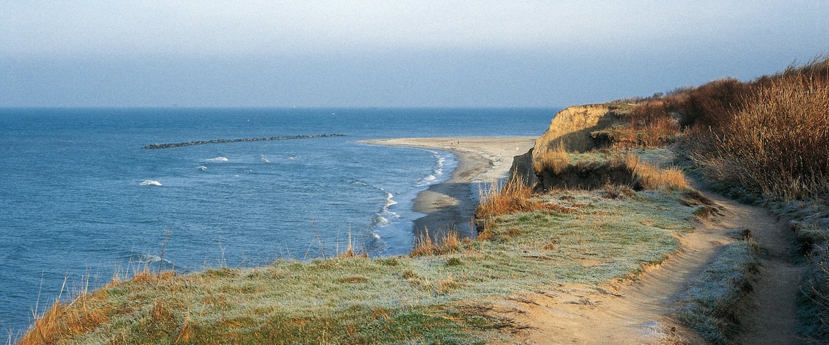 Zingst mettant en vedette vues littorales et panoramas