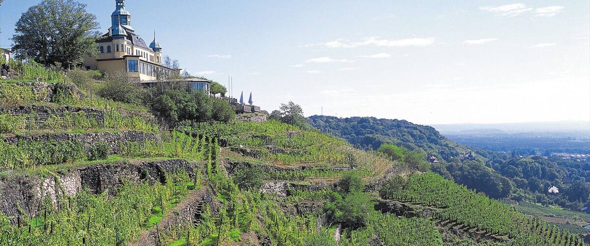 Radebeul แสดง องค์ประกอบด้านศาสนา, มรดกทางสถาปัตยกรรม และ วิวทิวทัศน์