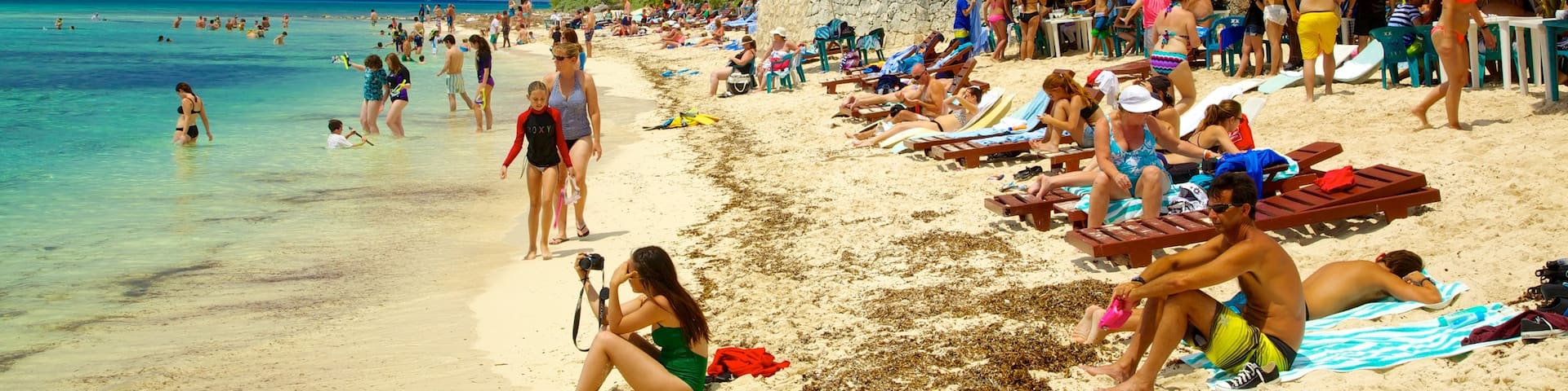 Cozumel mettant en vedette scĂšnes tropicales, baignade et plage