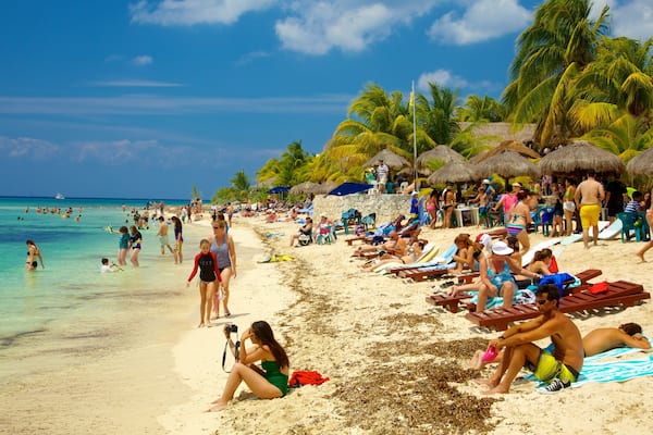 Cozumel which includes swimming, a sandy beach and tropical scenes