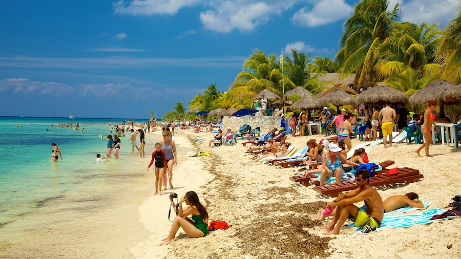 Cozumel som inkluderar bad, en sandstrand och tropisk natur