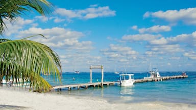 Playa del Carmen showing tropical scenes, boating and a sandy beach