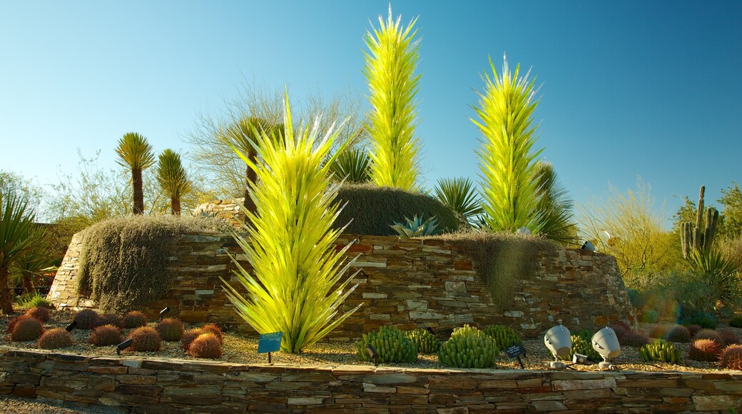 Desert Botanical Garden