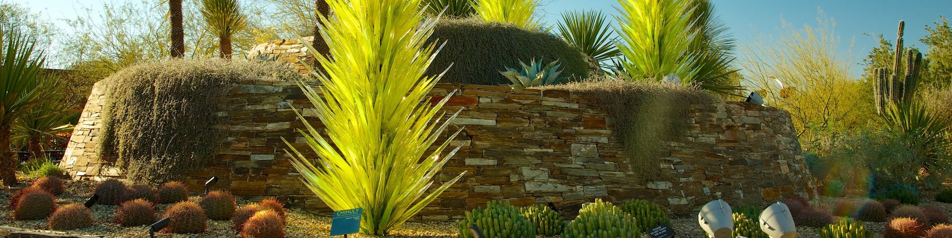 Desert Botanical Garden featuring a park