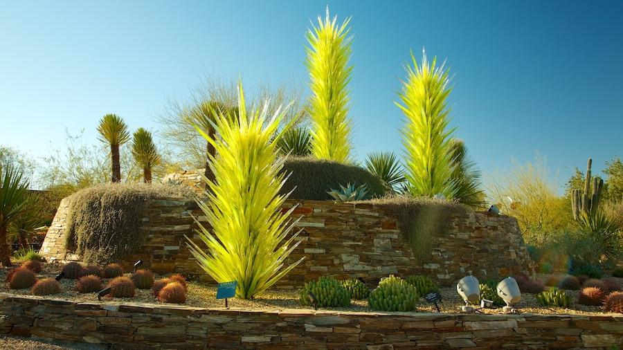 Desert Botanical Garden which includes a park