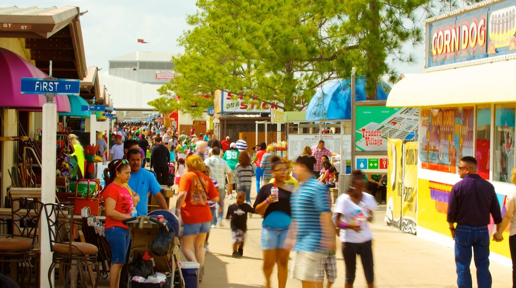 Visit Traders Village in Houston Expedia
