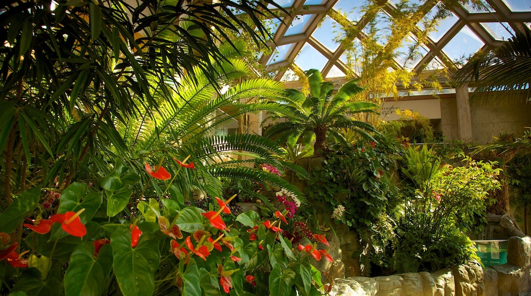 Denver Botanic Gardens featuring flowers, interior views and a garden
