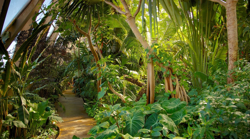 Denver Botanic Gardens showing a garden and tropical scenes