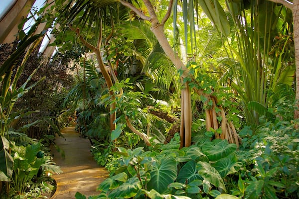 Denver Botanic Gardens mettant en vedette scènes tropicales et jardin