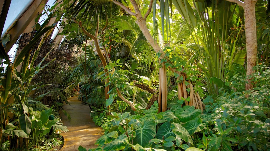 Denver Botanic Gardens featuring tropical scenes and a park