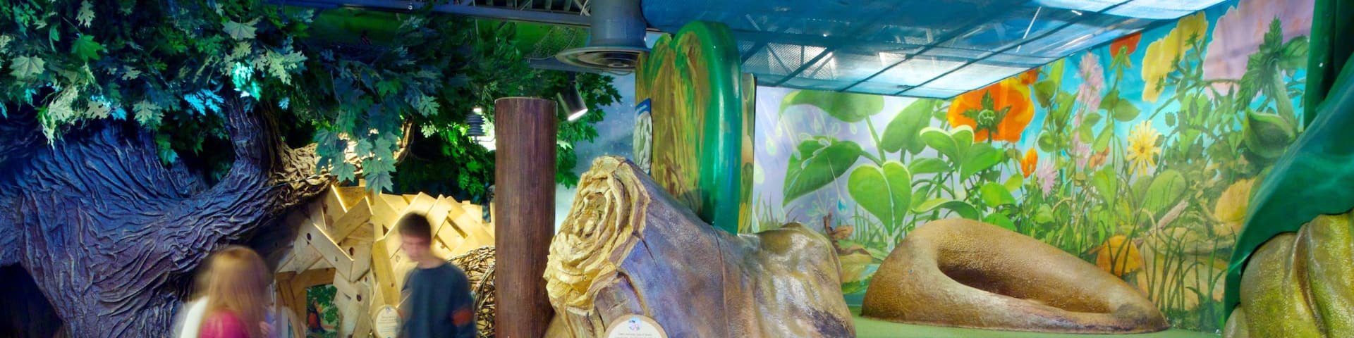 Museo Infantil de Denver mostrando vistas interiores y también una familia