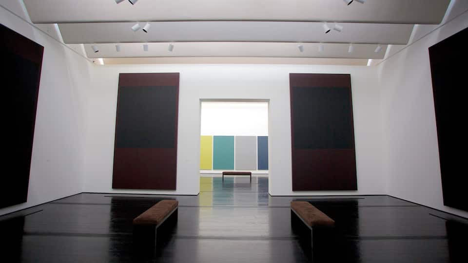 Menil Collection ofreciendo vistas interiores