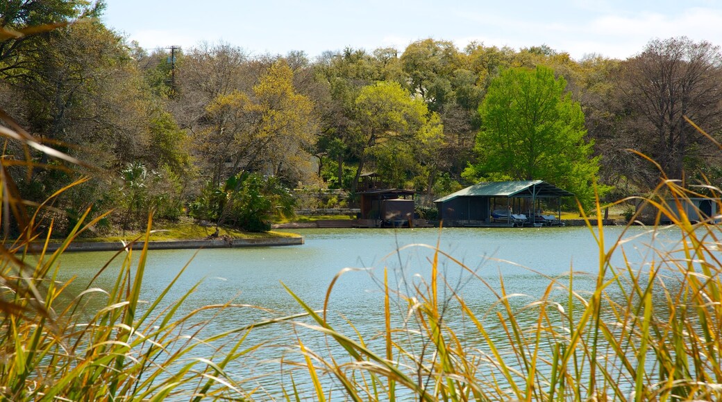 AMOA-Arthouse showing autumn leaves, general coastal views and landscape views