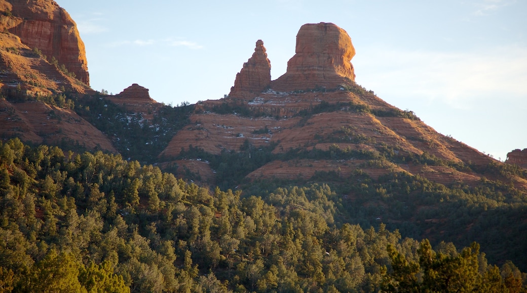 Sedona showing forests and tranquil scenes