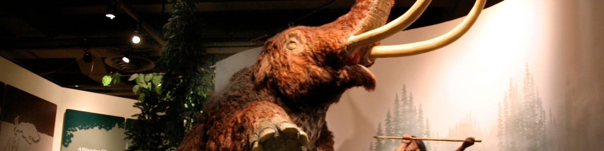 Green Bay featuring a memorial and interior views