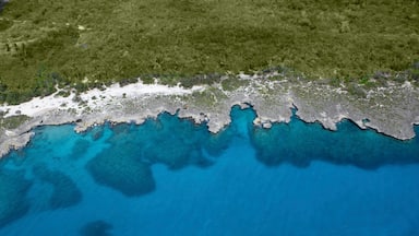 Bayahibe showing general coastal views