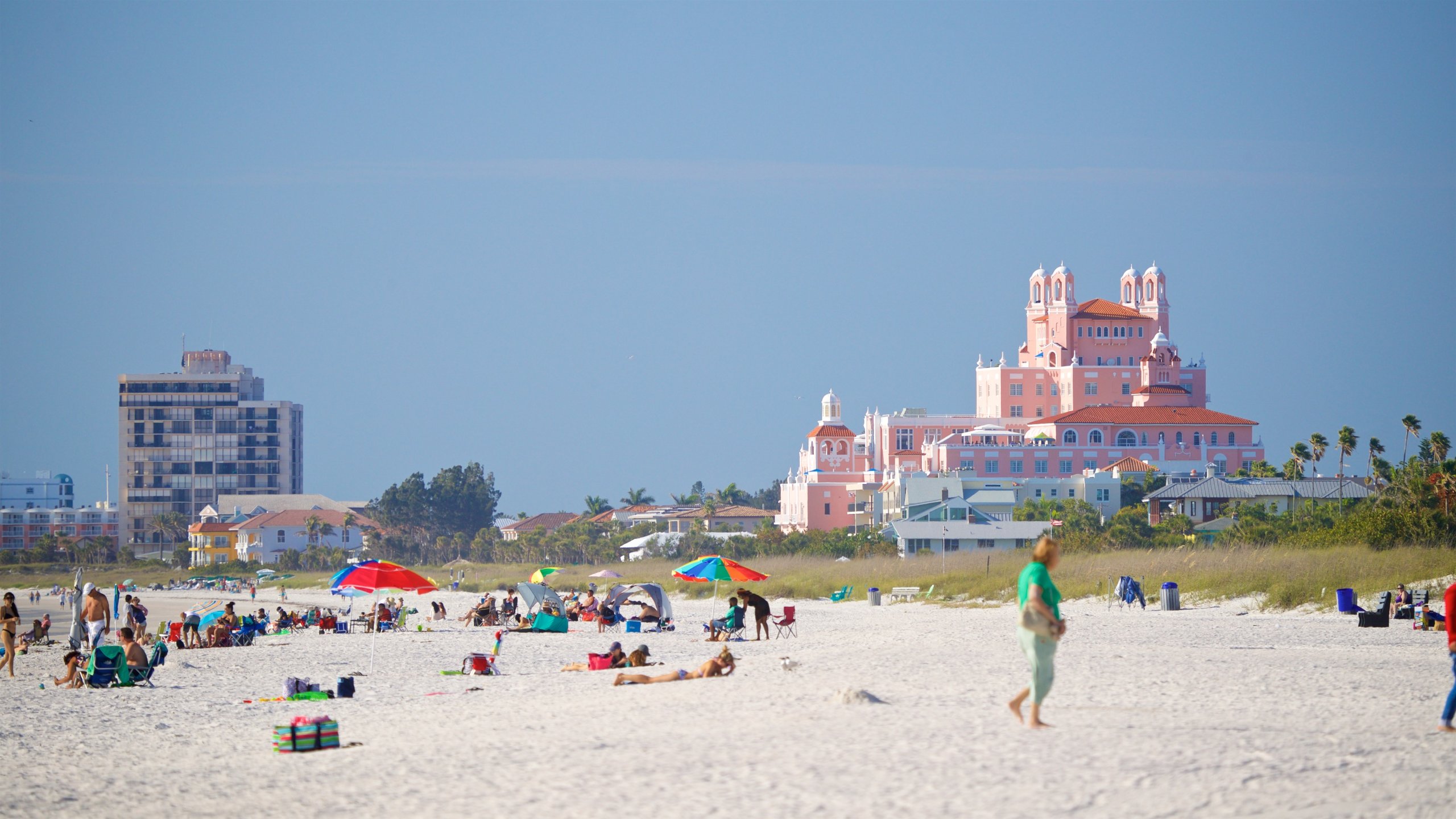 can you bring your dog to st pete beach