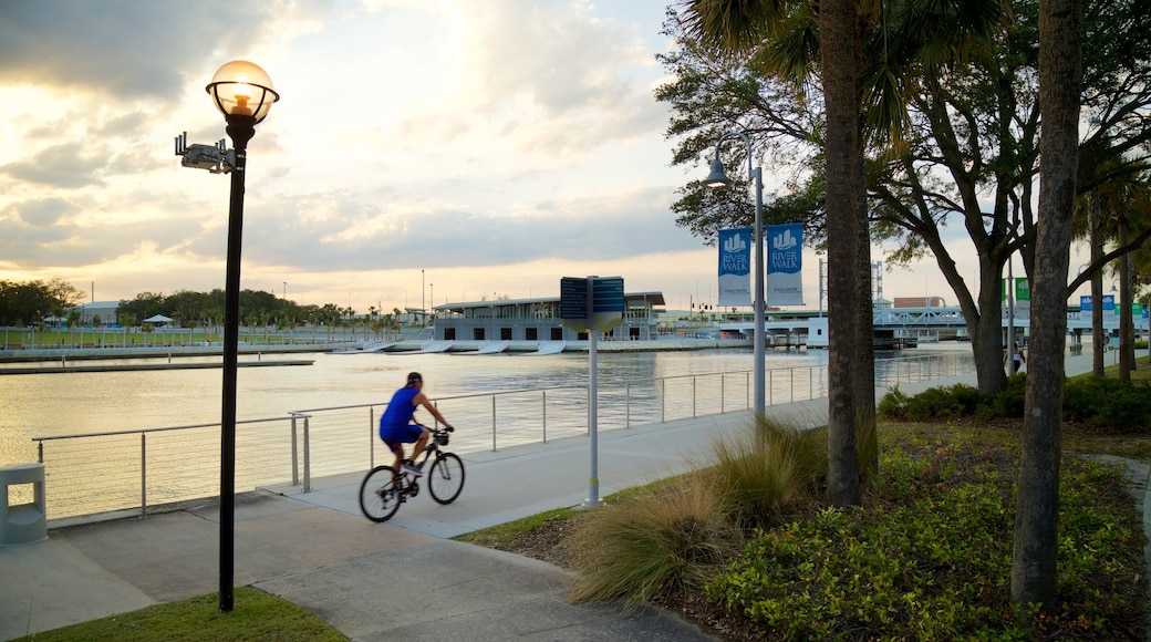 Tampa Riverwalk