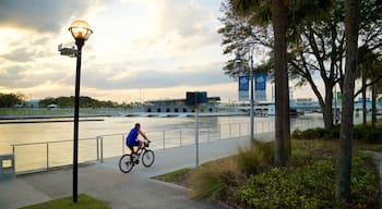 Tampa Riverwalk