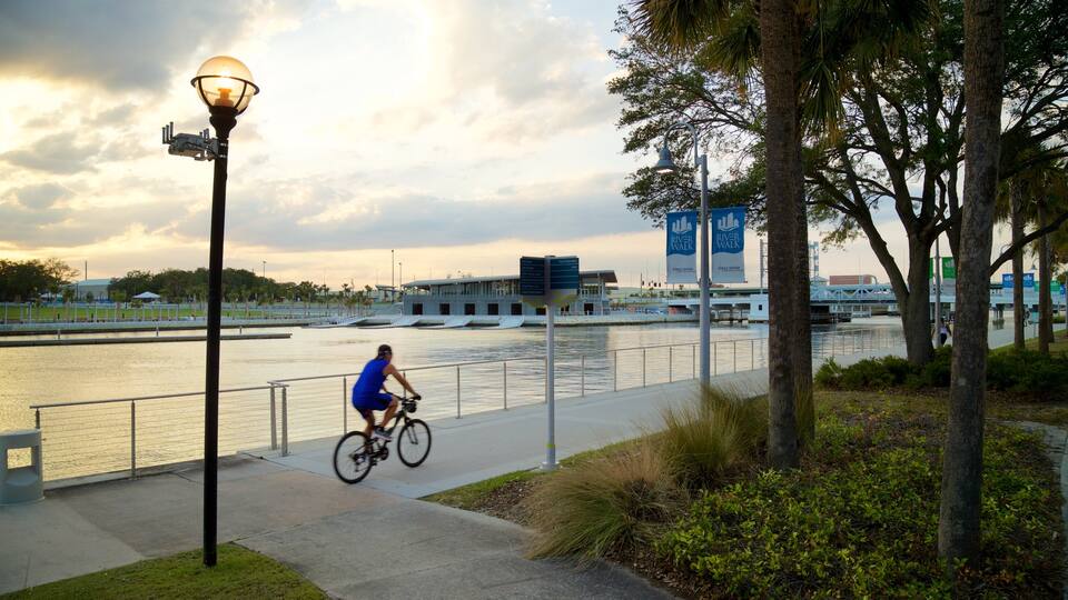 Tampa Riverwalk