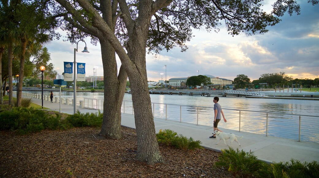 Tampa Riverwalk