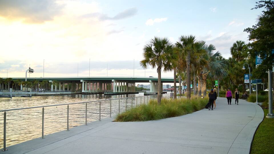 Tampa Riverwalk