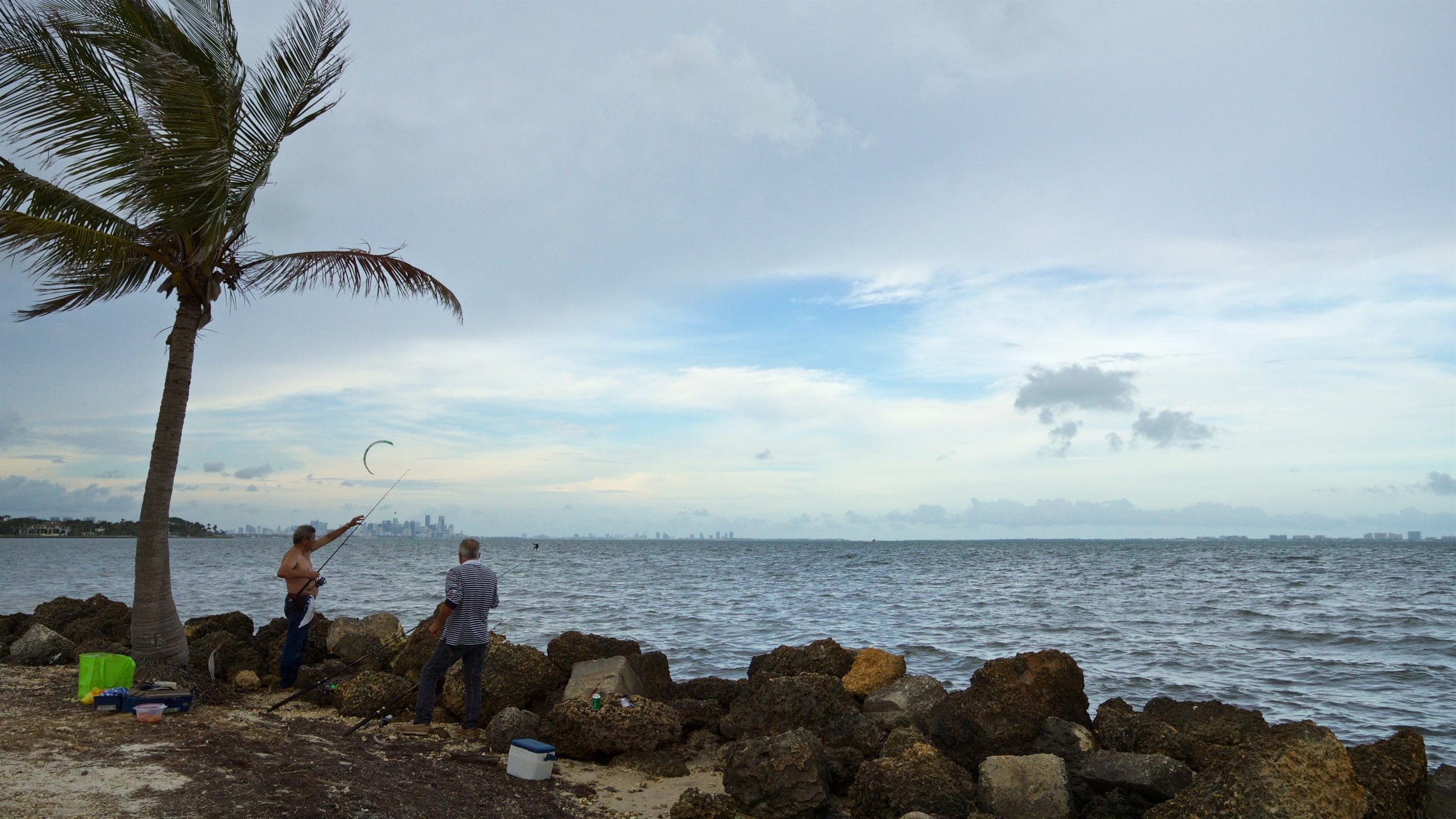 Ferienwohnung Matheson Hammock Park Boote & mehr FeWodirekt