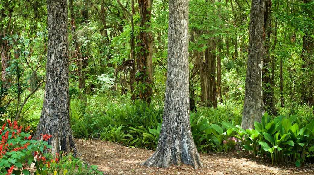 Eureka Springs Regional Park