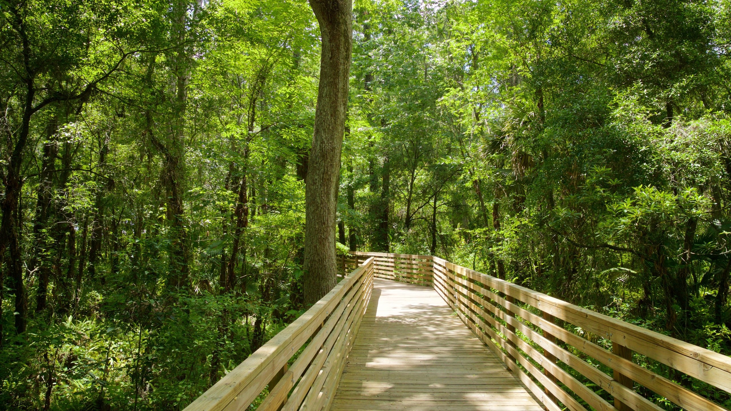 Eureka Springs Regional Park Vacation Rentals house rentals & more Vrbo