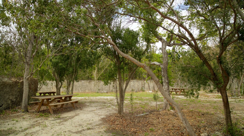 Parque estatal Windley Key Fossil Reef Geological