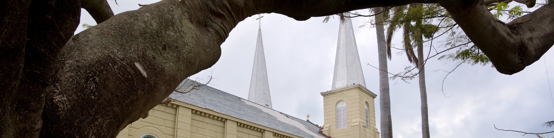 Saint Mary Star of the Sea